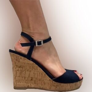 Charles by Charles David Navy Wedge Sandals